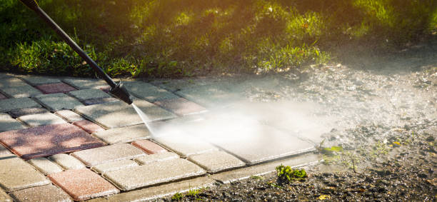 Best Soft Washing  in Avodo Heights, CA